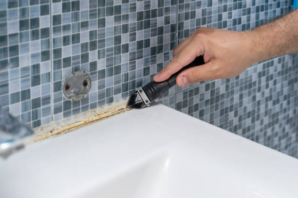 Attic Mold Removal in Escalon, CA